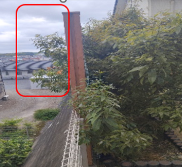 空き家の点検で気づく“木の枝問題”